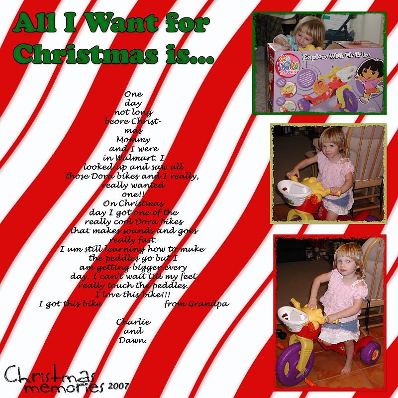 Christmas Bike 2007.jpg